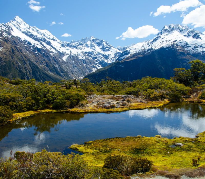 Newzealand IG Overase Study Abroad Immigration Visitor Visa Dependent Visa newzealand PR Visa Air Ticket Travel and Tourism Travel insurance Ahmedabad Gujarat India (2)